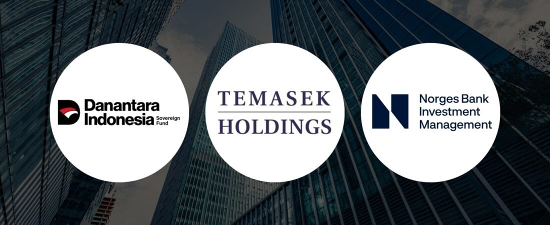 Membangun Danantara : Belajar dari Temasek dan Norges Bank Investment Management
